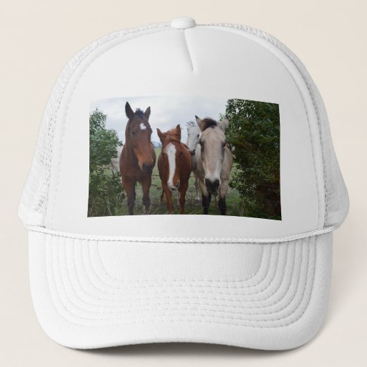 Frisky haar, vier paardenvrienden, trucker pet (Voorkant)