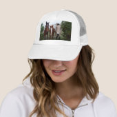 Frisky haar, vier paardenvrienden, trucker pet (In situ)
