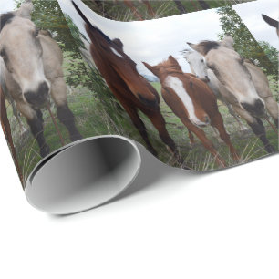 Frisky Hair: heerlijke paardenproblemen, Cadeaupapier