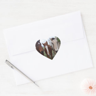 Frisky Hair: heerlijke paardenproblemen, Hart Sticker