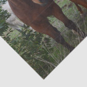 Frisky Hair: heerlijke paardenproblemen, Tissuepapier (Detail)