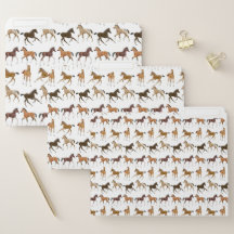 Frisky Horse Foals File Folders