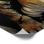 Frisky voelen? poster (Hoek)