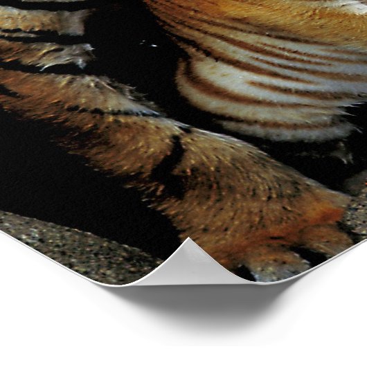 Frisky voelen? poster (Hoek)