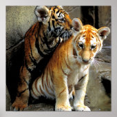 Frisky voelen? poster (Voorkant)