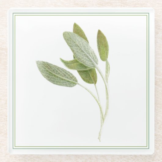 FRISSE SAGE Glas Drank Coaster (-tekst) Glazen Onderzetter (Voorkant)