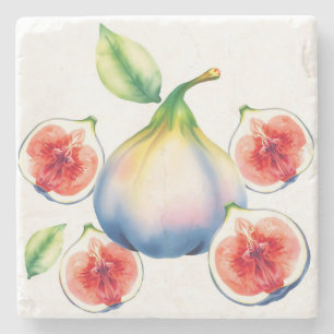 Frisse Waterverf Fig met Zacht Wit Stenen Onderzetter