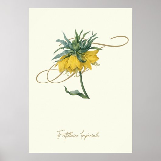 Fritillaire Poster (Voorkant)