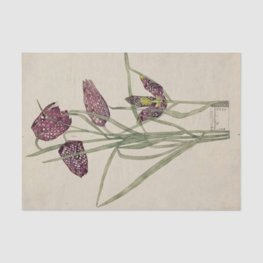 Fritillaria door Charles Mackintosh Tissuepapier (Voorkant)