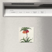 Fritillaria Imperialis uit "Les Lilacees", 1802- Magneet (Insitu (Vaatwasser))