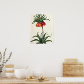 Fritillaria Imperialis uit "Les Lilacees", 1802- Poster (Keuken)