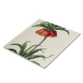 Fritillaria Imperialis uit "Les Lilacees", 1802- Tegeltje (Zijkant)