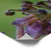 Fritillary Butterfly Flowers New Creation Poster (Hoek)