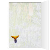 Fritillary Butterfly in een zomertuin (Binnen (Links))