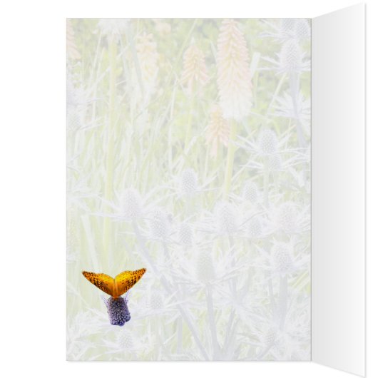 Fritillary Butterfly in een zomertuin (Binnen (Links))