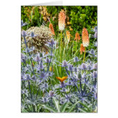 Fritillary Butterfly in een zomertuin (Voorkant)