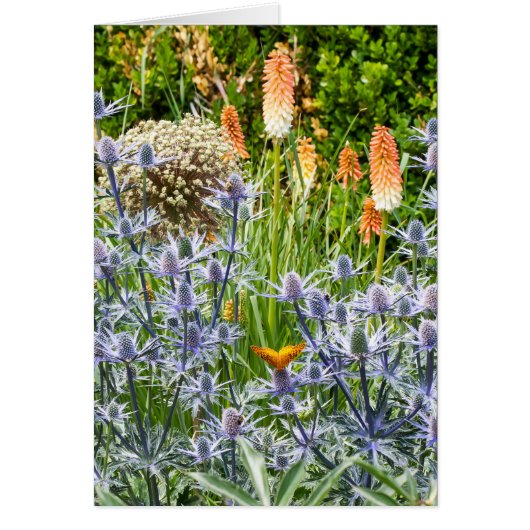 Fritillary Butterfly in een zomertuin (Voorkant)