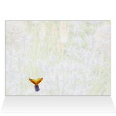 Fritillary Butterfly in een zomertuin (Binnen Horizontaal (Boven))