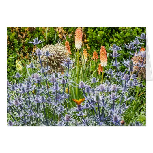 Fritillary Butterfly in een zomertuin (Voorkant Horizontaal)