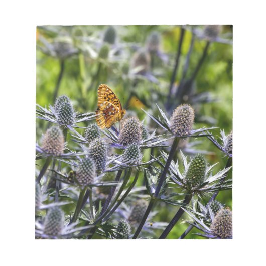 Fritillary Butterfly on Blue Thistle Notitieblok (Voorkant)