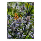 Fritillary Butterfly on Blue Thistle Vertical (Voorkant)