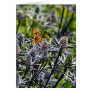 Fritillary Butterfly on Blue Thistle Vertical