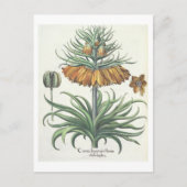 Fritillary: Duplic florum van Imperialis van de Briefkaart (Voorkant)