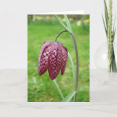 Fritillary Flower Note Kaart (Voorkant)