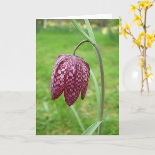 Fritillary Flower Note Kaart (Gele Bloem)