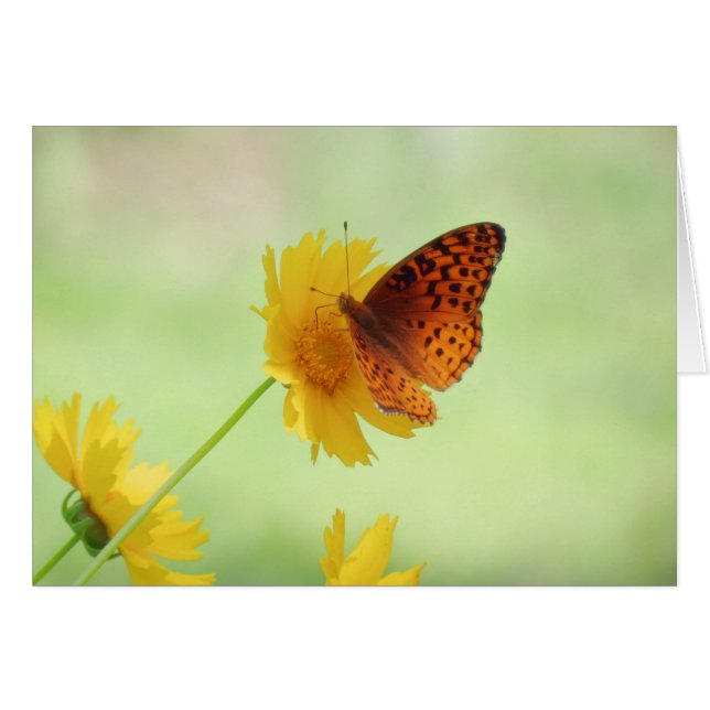 Fritillary Fun - Butterfly (Voorkant Horizontaal)