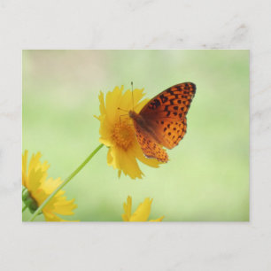 Fritillary Fun - Butterfly Briefkaart
