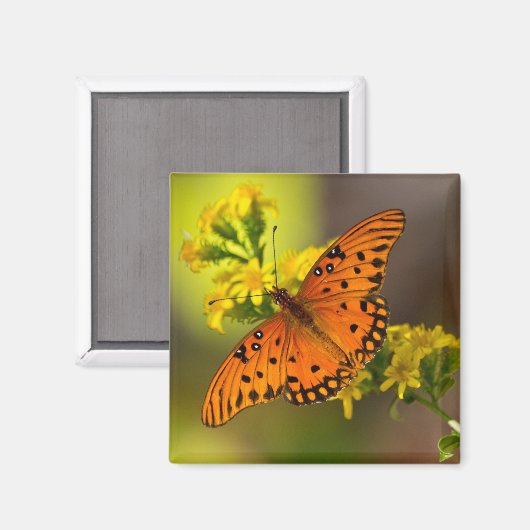 Fritillary Gulf Butterfly Gifts and Apparel Magneet (Voorkant / Achterkant)