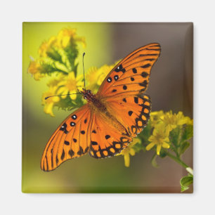 Fritillary Gulf Butterfly Gifts and Apparel Magneet