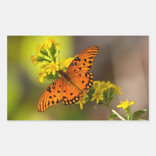 Fritillary Gulf Butterfly Gifts and Apparel Rechthoekige Sticker (Voorkant)