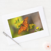 Fritillary Gulf Butterfly Gifts and Apparel Rechthoekige Sticker (Envelop)