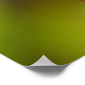 Fritillary Gulf Butterfly Prints Posters (Hoek)