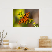 Fritillary Gulf Butterfly Prints Posters (Keuken)