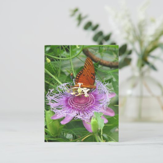 Fritillary & Passion Vine Briefkaart (Staand voorkant)