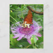 Fritillary & Passion Vine Briefkaart (Voorkant)