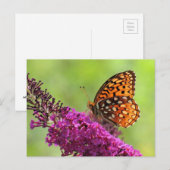 Fritillary World - Butterfly Briefkaart (Voorkant / Achterkant)