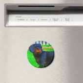 Fritz Magneet (Insitu (Vaatwasser))