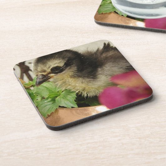 Frizzle Chick Bier Onderzetter (Linkerzijde)