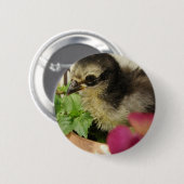 Frizzle Chick in Flowers Ronde Button 5,7 Cm (Voorkant /achterkant)