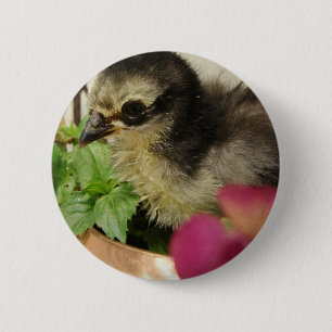 Frizzle Chick in Flowers Ronde Button 5,7 Cm