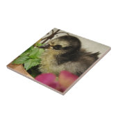 Frizzle Chick Tegeltje (Zijkant)