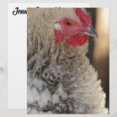 Frizzle Rooster (Voorkant / Achterkant)