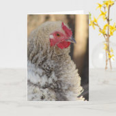 Frizzle Rooster Alle gelegenheden Blank Inside Kaart (Gele Bloem)