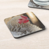 Frizzle Rooster Bier Onderzetter (Linkerzijde)