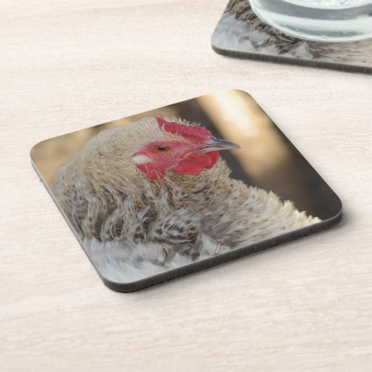 Frizzle Rooster Bier Onderzetter (Linkerzijde)