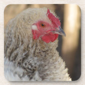 Frizzle Rooster Bier Onderzetter (Voorkant)